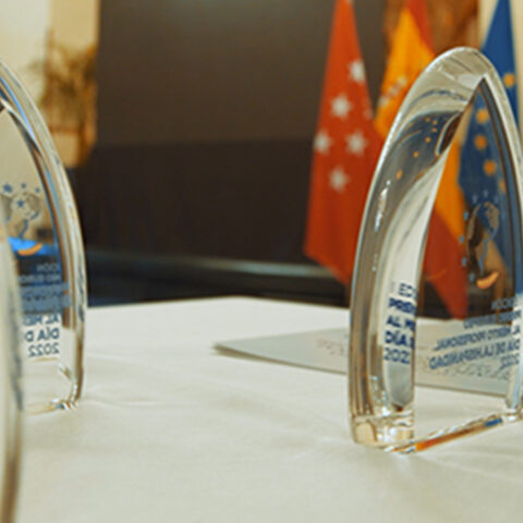 Premios merito profesional dia hispanidad I