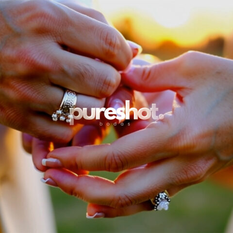 Spot Pureshot
